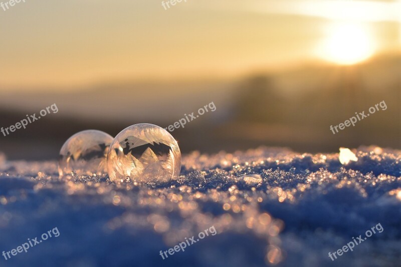 Soap Bubble Frozen Frozen Bubble Eiskristalle Winter