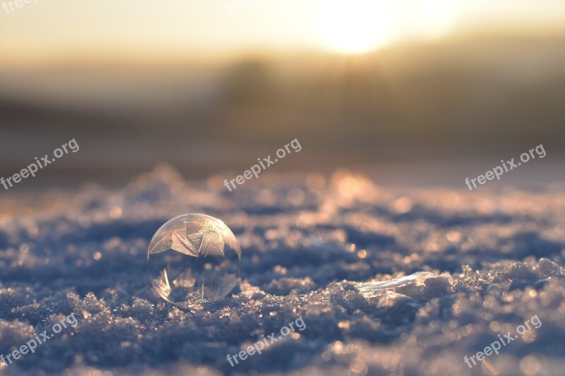 Soap Bubble Frozen Frozen Bubble Eiskristalle Winter