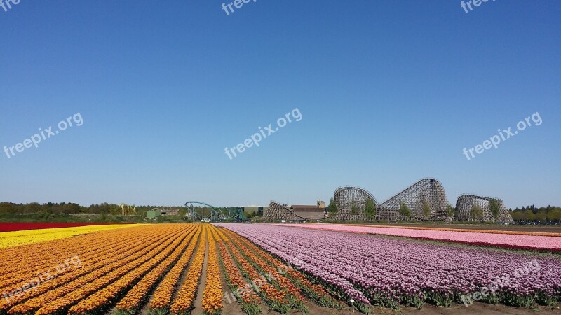 Flowers Roller Coaster Venlo Free Photos