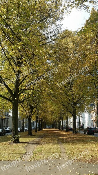 Avenue Park Altona Free Photos