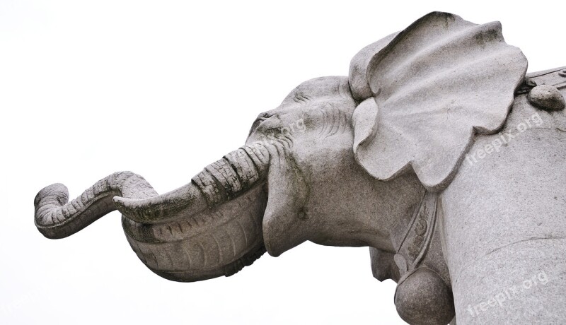 Elephant Statue Pierre White Background Free Photos