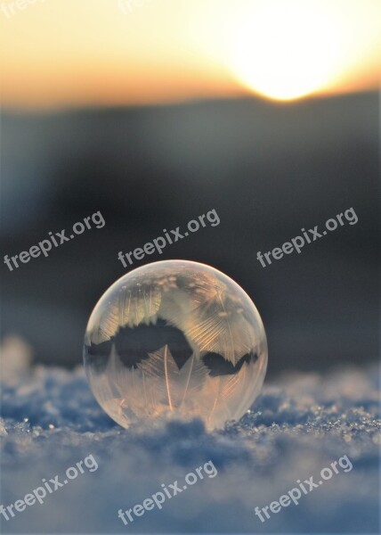 Soap Bubbles Frozen Frozen Bubble Eiskristalle Wintry