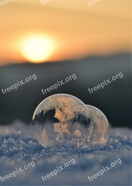 Soap Bubbles Frozen Frozen Bubble Eiskristalle Wintry