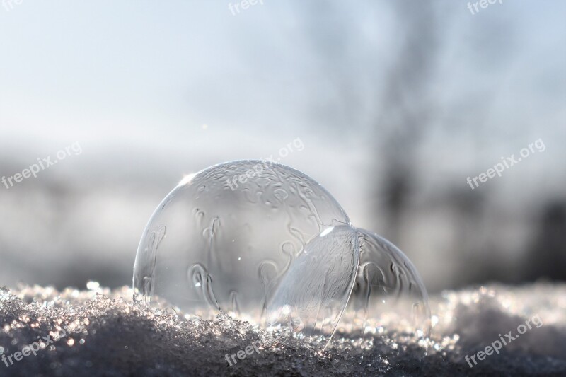 Soap Bubbles Frozen Frozen Bubble Eiskristalle Wintry