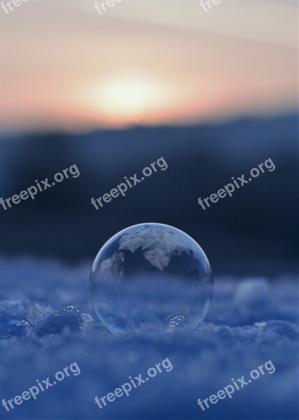 Soap Bubbles Frozen Frozen Bubble Eiskristalle Wintry