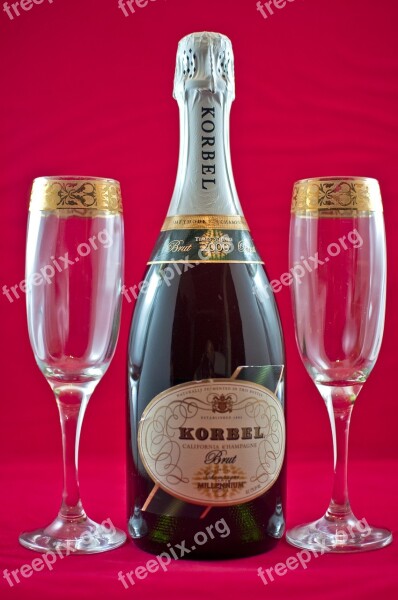 Champagne Celebration Bubbly Free Photos