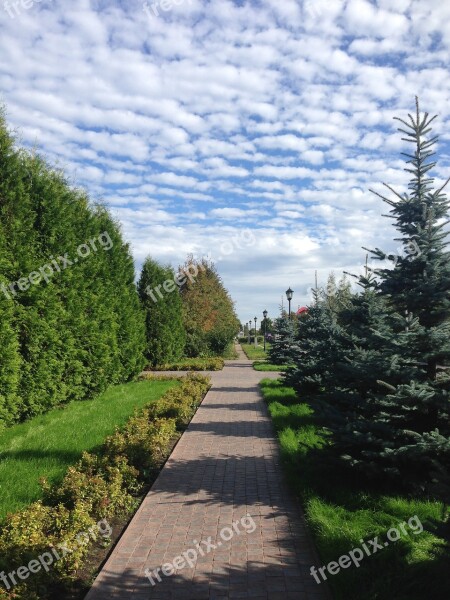 Stroll Road Summer Handsomely Nature