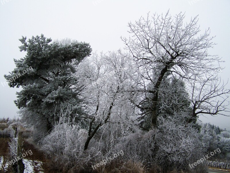 Winter Landscape Hoary Clump Rimy Nature Free Photos