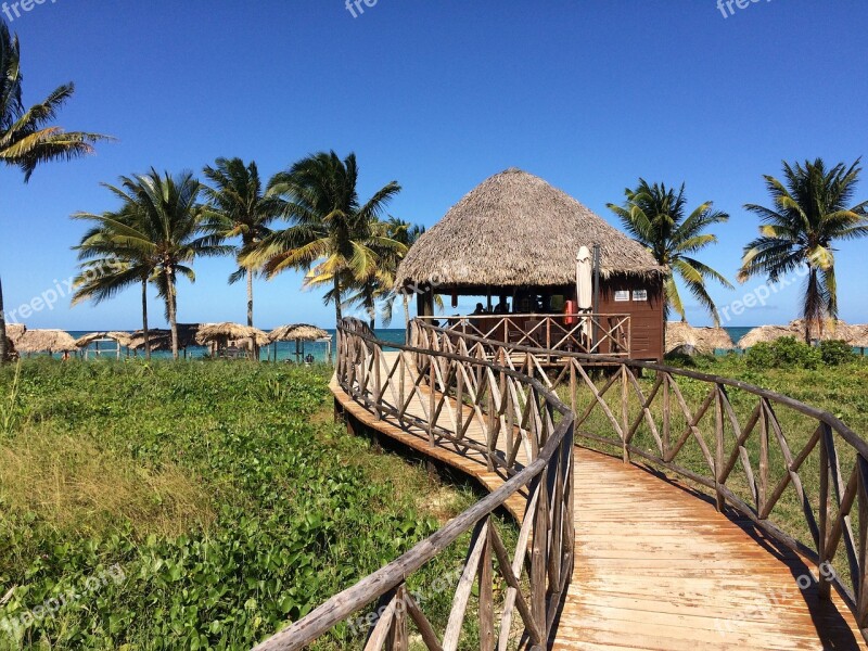 Cuba Palm Trees Beach Vacations Caribbean