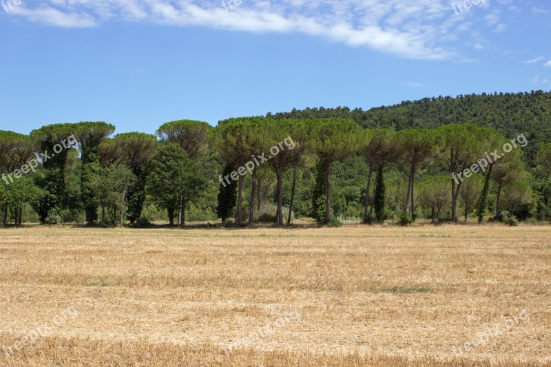 Tuscany Querceto Landscape Forest Fields