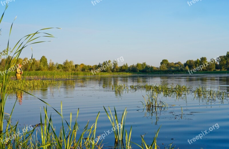 Landscape Lake Water Summer Morning