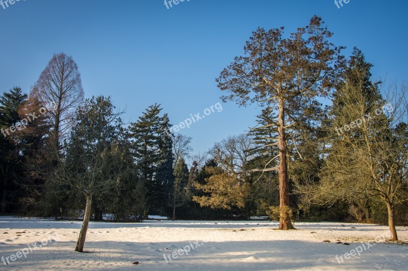 Winter Park Park Wörlitz Cold Snow