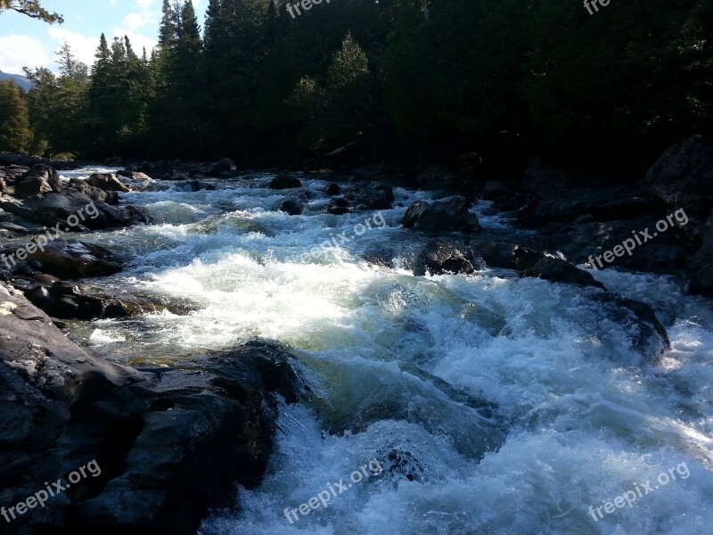 River Nature Gaspésie Canada Québec