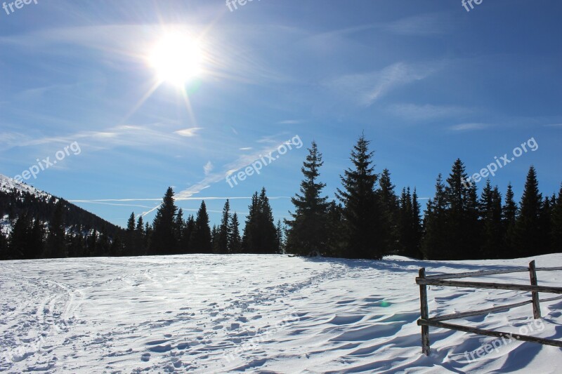 Winter Wonderland Snow Nature Light