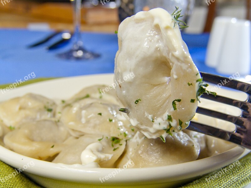 Pelmeni Food National Cuisine Yamal Herders Venison