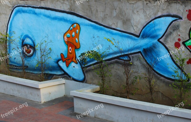 Whale Street Art Street Blue Fish