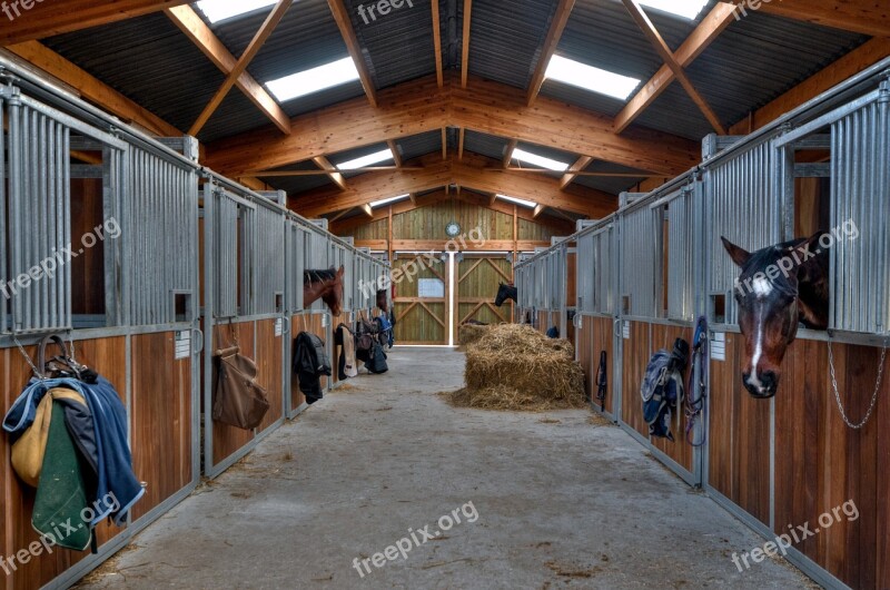 Stable Horse Interior Box Free Photos