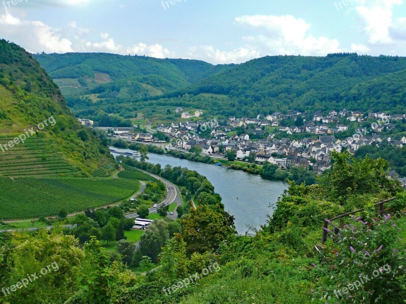 Cochem Mosel Sachsen Germany Wine