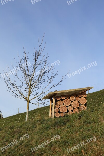 Bee Insects Hotel Nature Conservation Nature Hotel