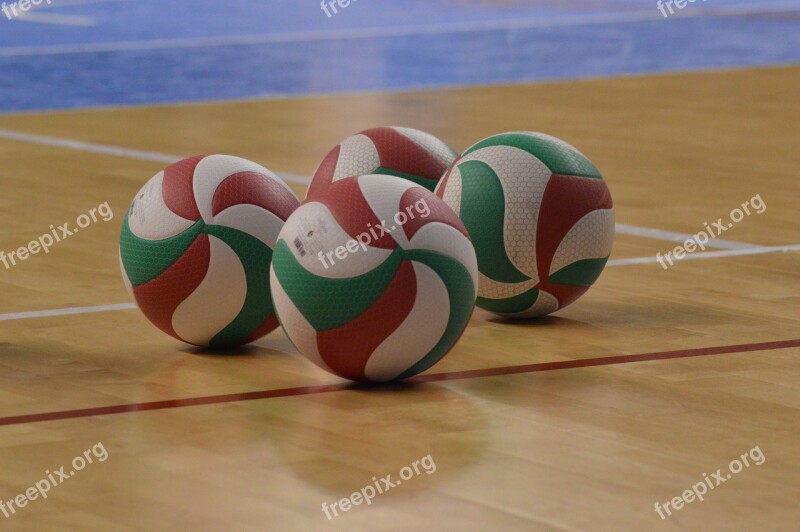 Volleyball Sport The Ball Activity Free Photos