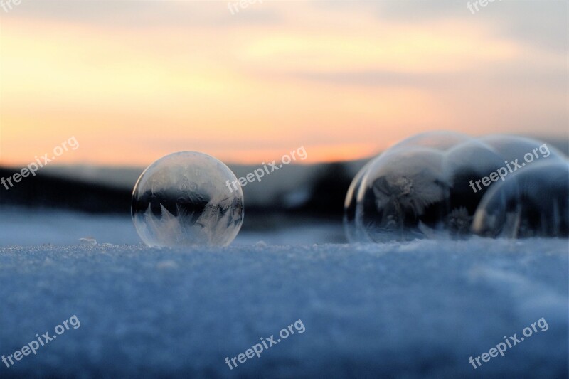 Soap Bubble Frozen Frozen Bubble Winter Eiskristalle