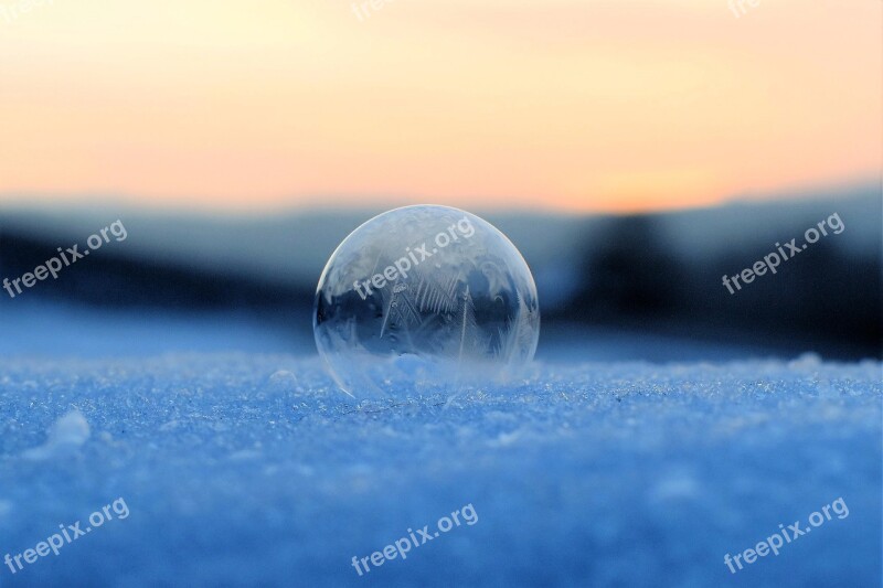 Soap Bubble Frozen Frozen Bubble Winter Eiskristalle