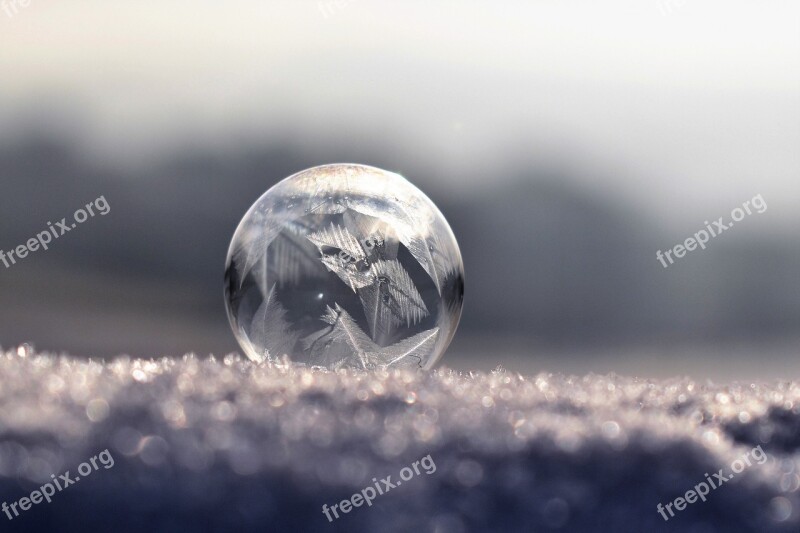 Soap Bubble Frozen Frozen Bubble Winter Eiskristalle