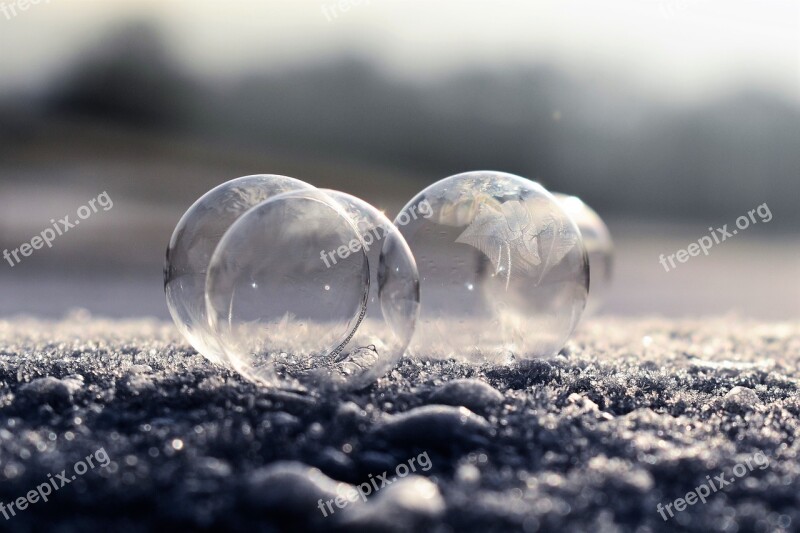 Soap Bubble Frozen Frozen Bubble Winter Eiskristalle