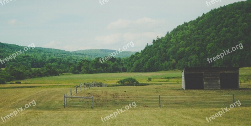 Fields Road Trip Journey Landscape Green