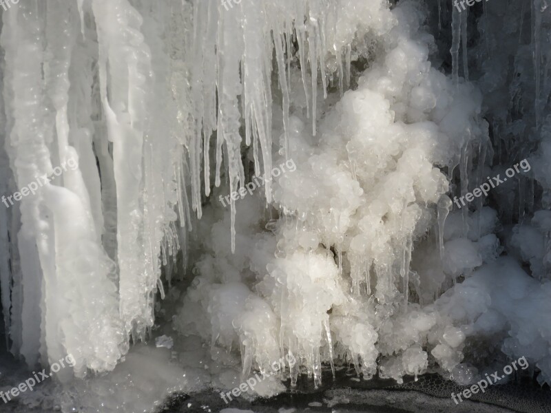 Nature Winter Ice Icicle Cold