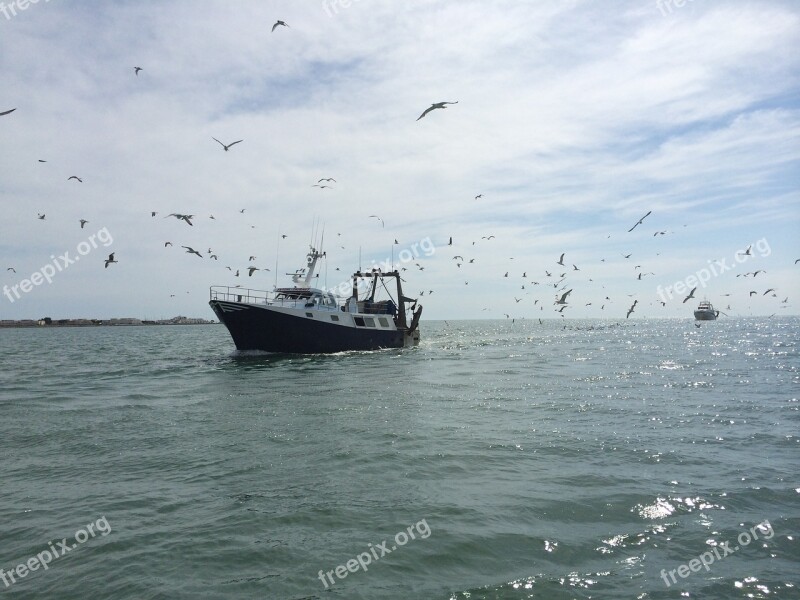 Boat Traditional Fishing Seagulls Free Photos