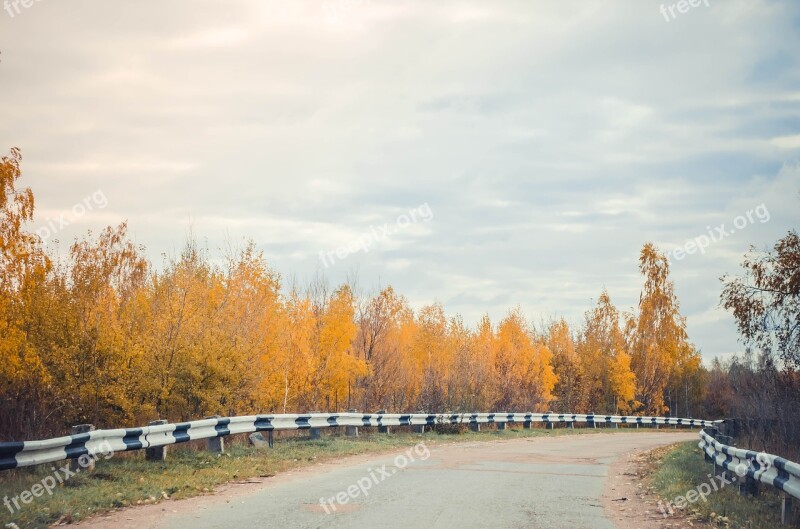 Road Autumn Nature Landscape Plant