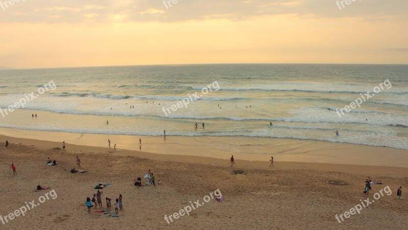 Beach Sea Ocean Swim Beach Sea