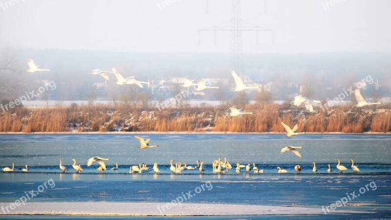 Landscape Winter Lake Frozen Icy