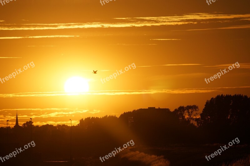 Sun Sunset Evening Setting Sun Colorful Sunset