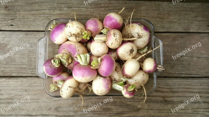 Turnip Wood Farm Rustic Vegetable