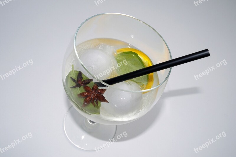 Gin Tonic Drink Ice Balls Straw Star Anise