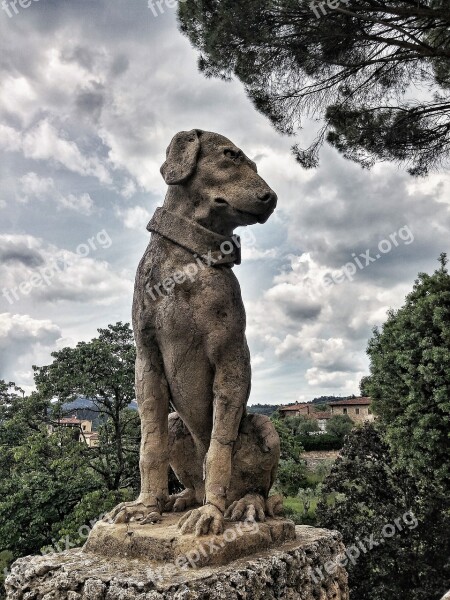 Dog Stone Sand Stone Statue Tuscany