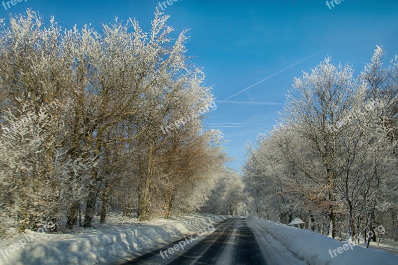 Winter Trees Snow Path Mountains