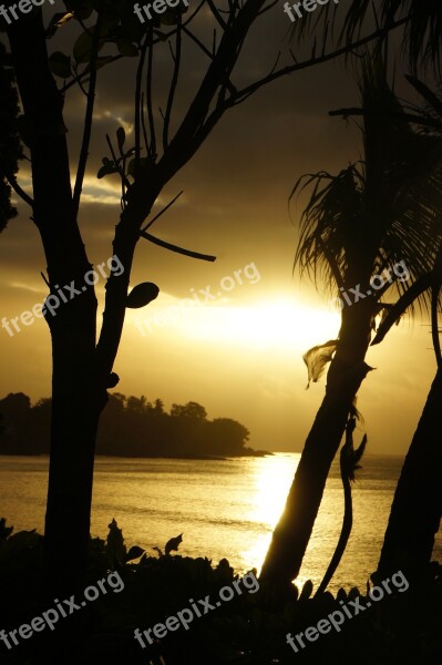 Sunset Beach Seychelles Sea Golden