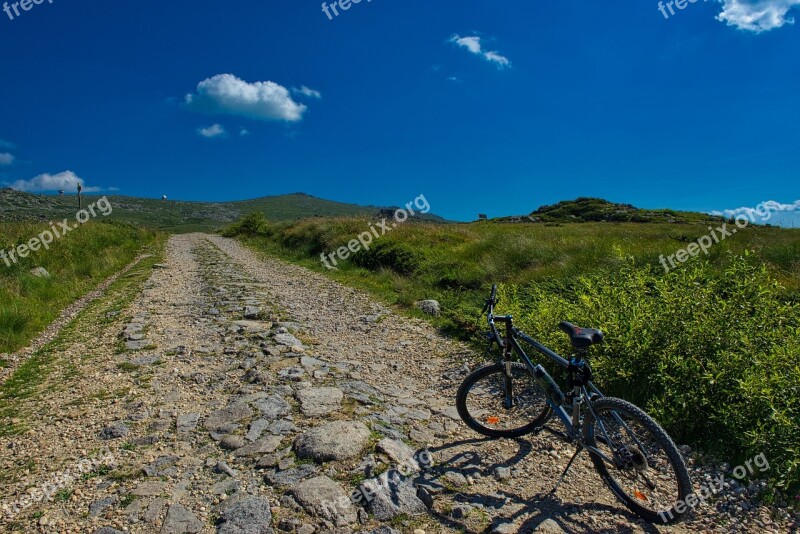 Mountain Bike Mountain Bike Bicycle Biking