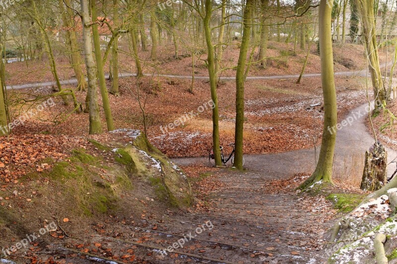 Bad Zwischenahn Three Mountains Trees Stairs Gradually