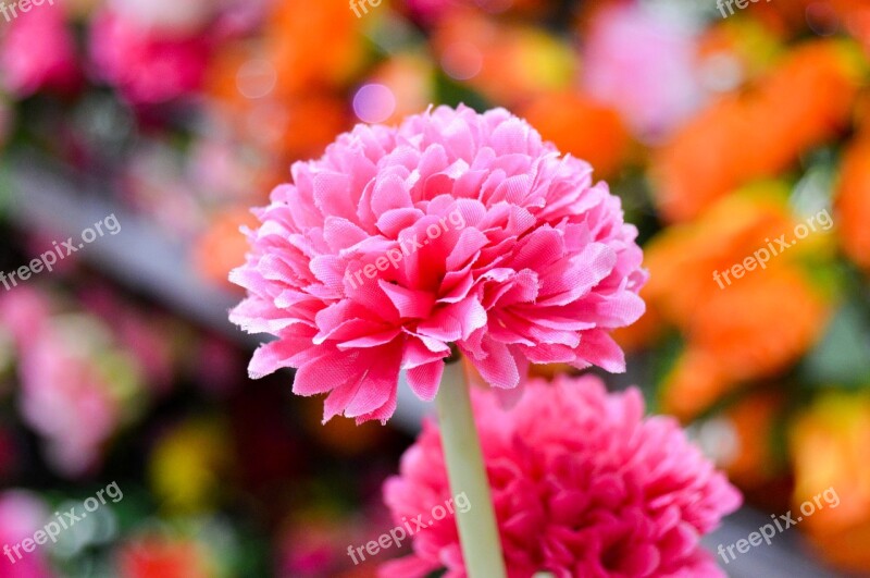 Pink Flower Artificial Flower Artificial Pink Flower