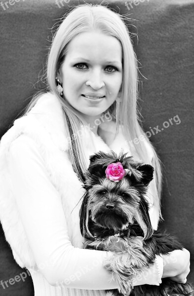 Blonde Girl Yorkie Beauty Facial Love