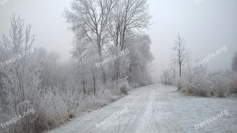 Winter Landscape Ice Snowy Eiskristalle