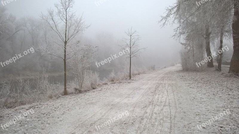 Winter Away Trees White Winter Mood