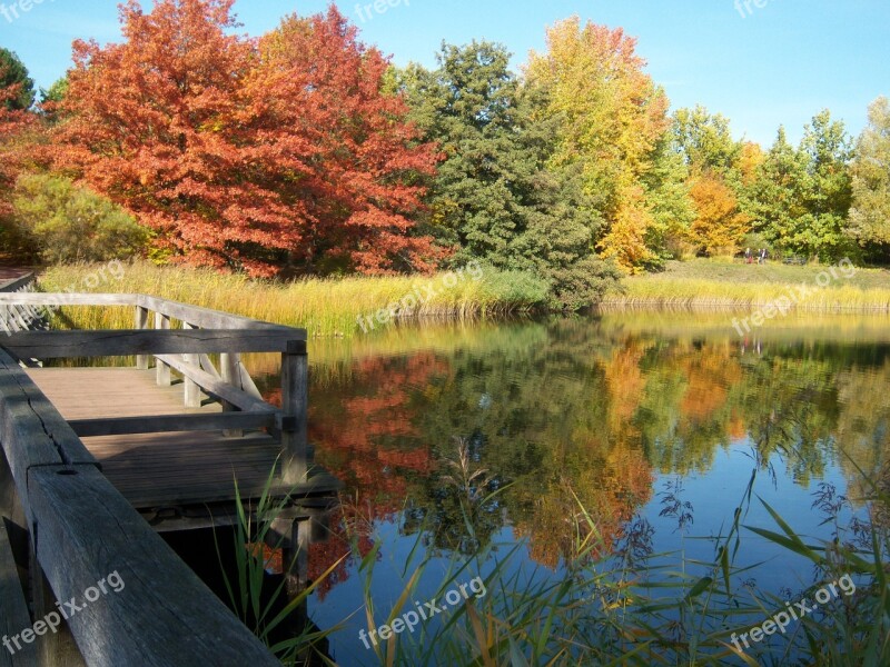 Autumn Leaves Golden Autumn Coloring Fall Color