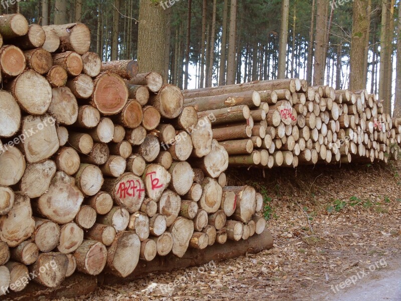 Wood Tree Trunks Forestry Log Timber Industry