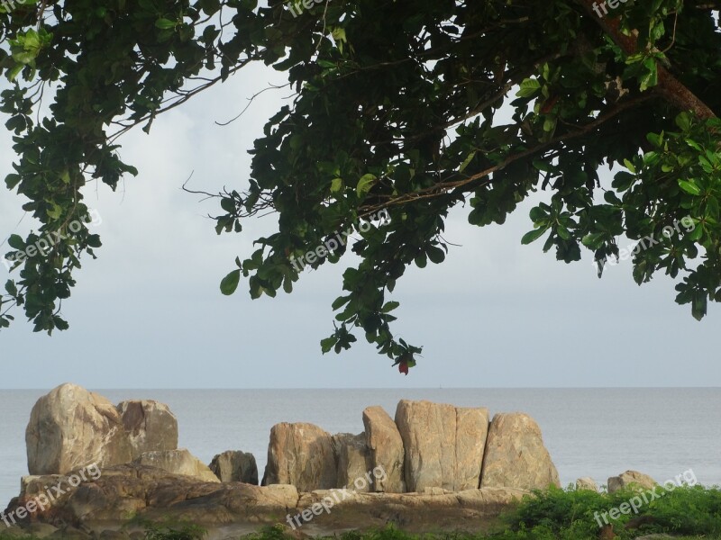 Cayenne French Guiana Coastal Views Free Photos