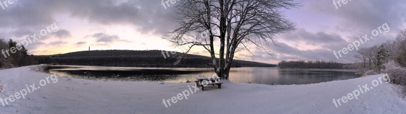 Tree Lake Winter Ice Snow